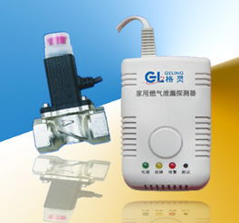 家用燃?xì)庑孤┨綔y(cè)器 一氧化碳報(bào)警器專業(yè)制造商歡迎咨詢高清圖片 高清大圖