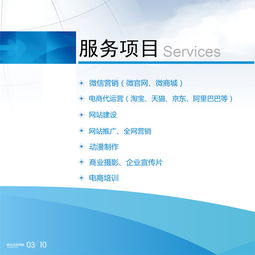 萊西網(wǎng)站建設(shè)、推廣與關(guān)鍵詞優(yōu)化——一站式網(wǎng)絡(luò)營銷解決方案